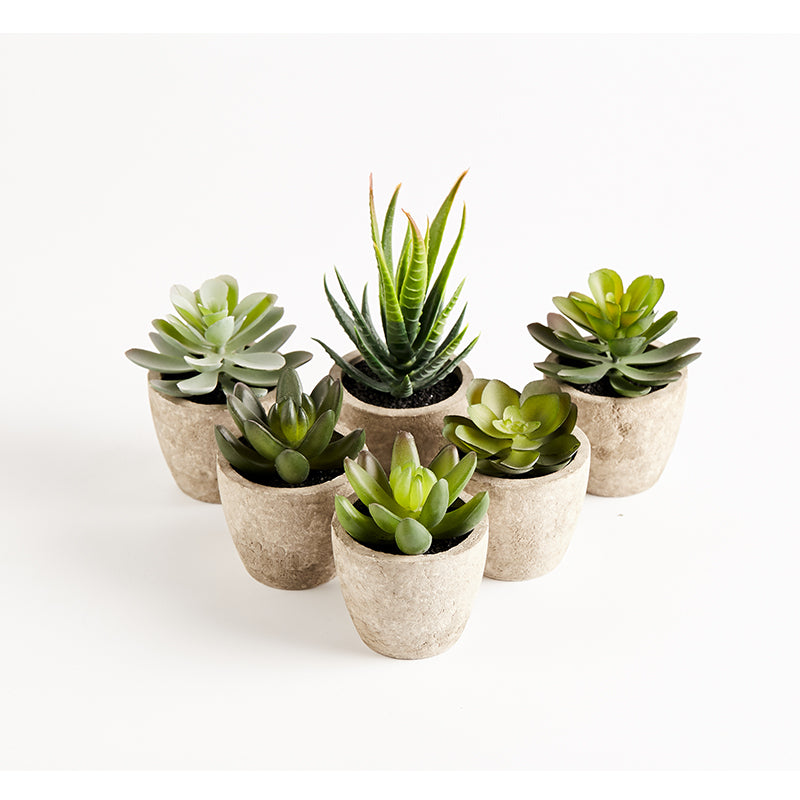 Primaison Concrete Planters - Set of 6