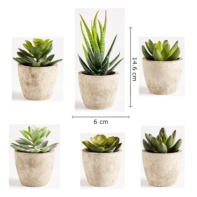 Primaison Concrete Planters - Set of 6