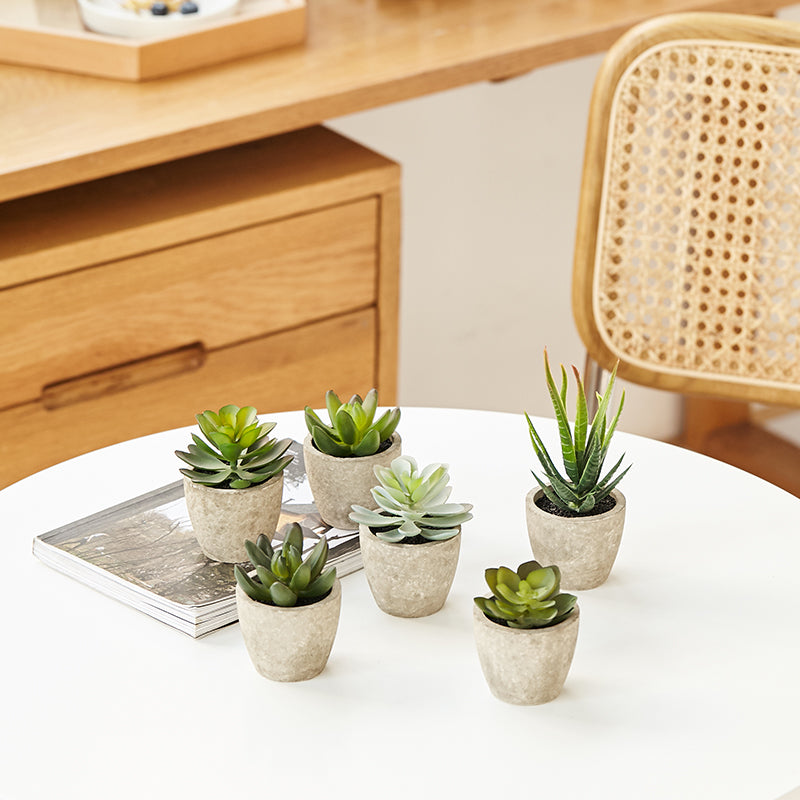 Primaison Concrete Planters - Set of 6
