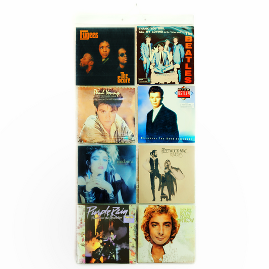 Picture Pockets LP - 12" Record Pockets (Holds 16 LPs in 8 pockets)