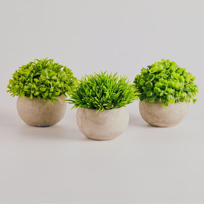 Primaison Concrete Planters - Set of 3